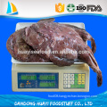 wholesale best quality frozen new monkfish fillet